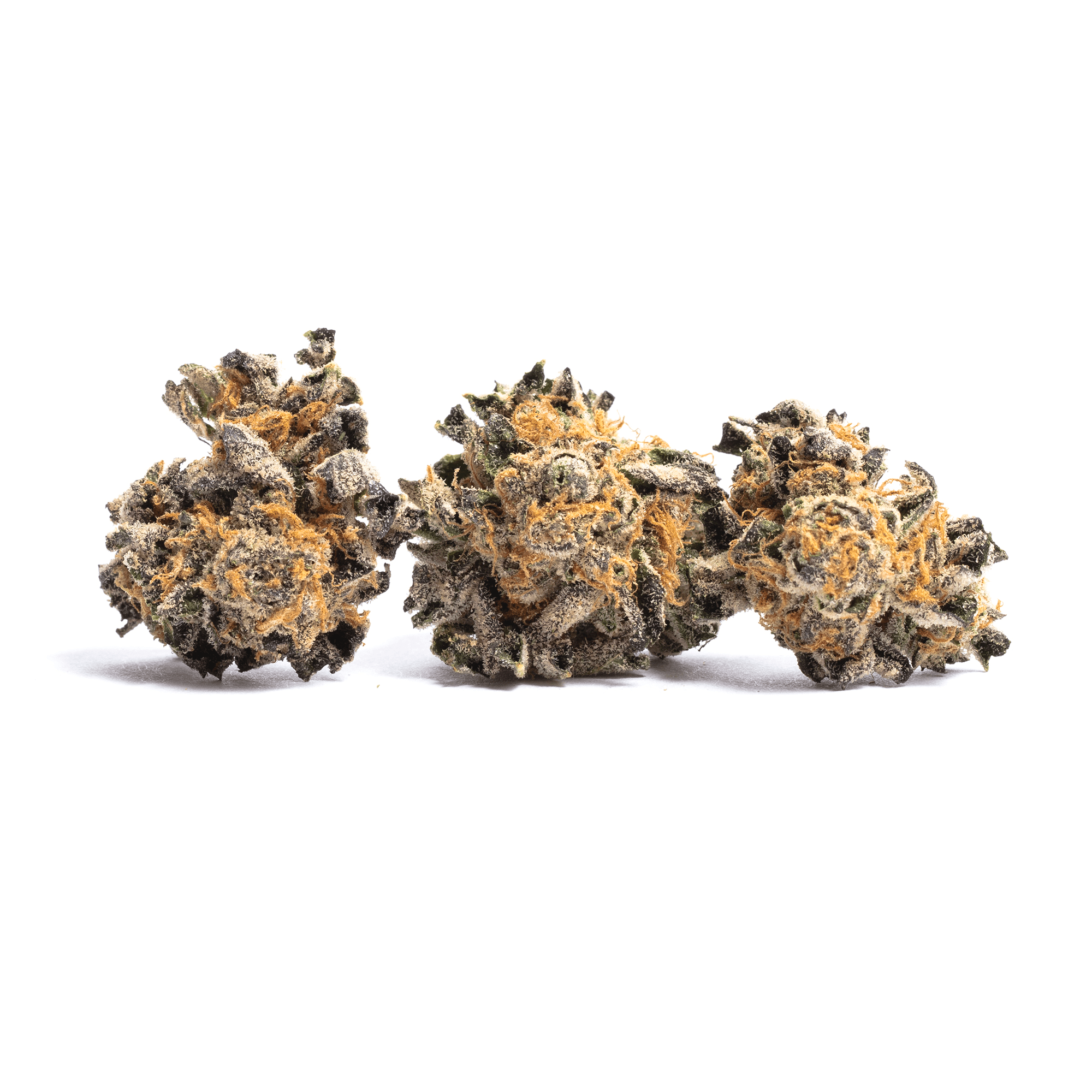 Ancient Kush