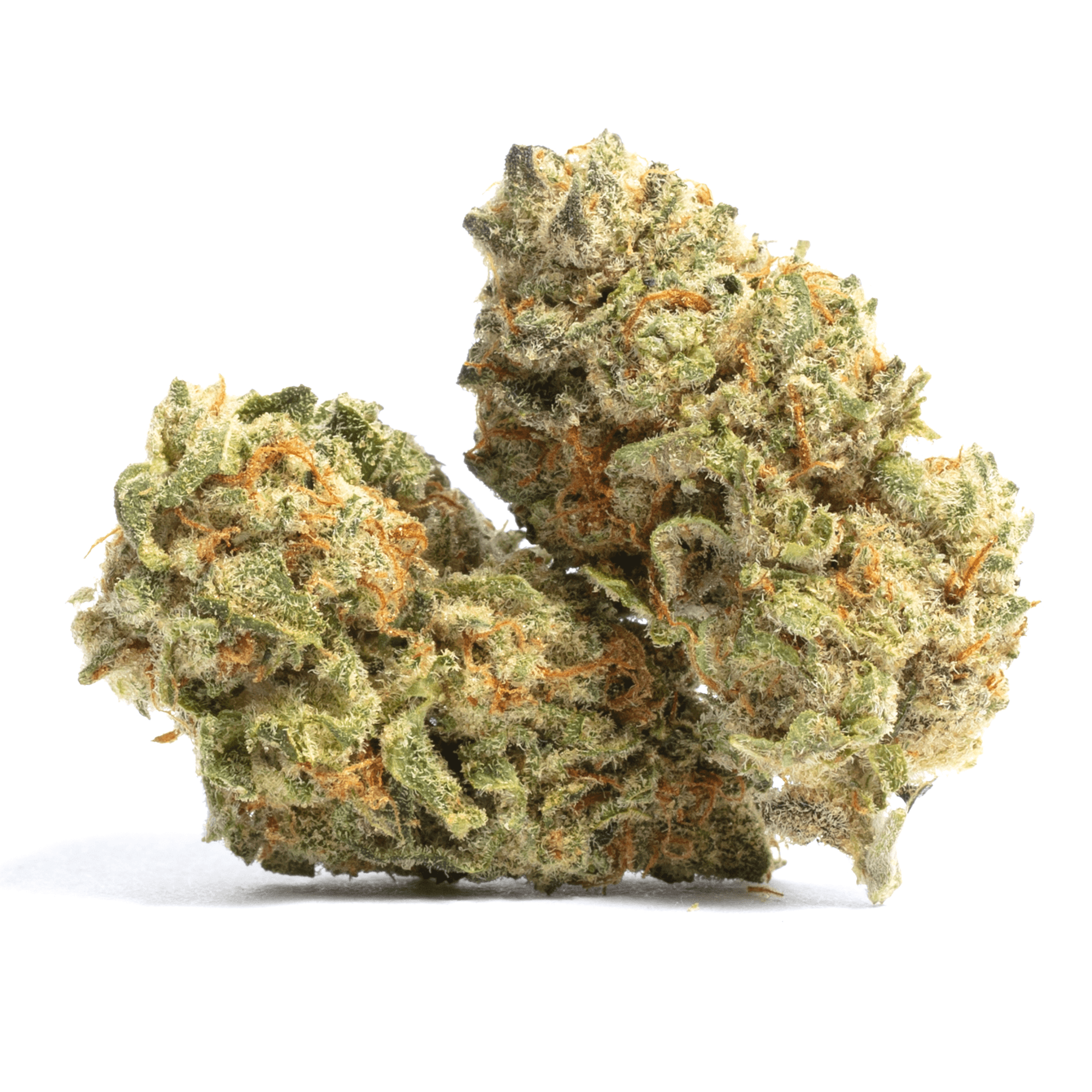 Pheno 51