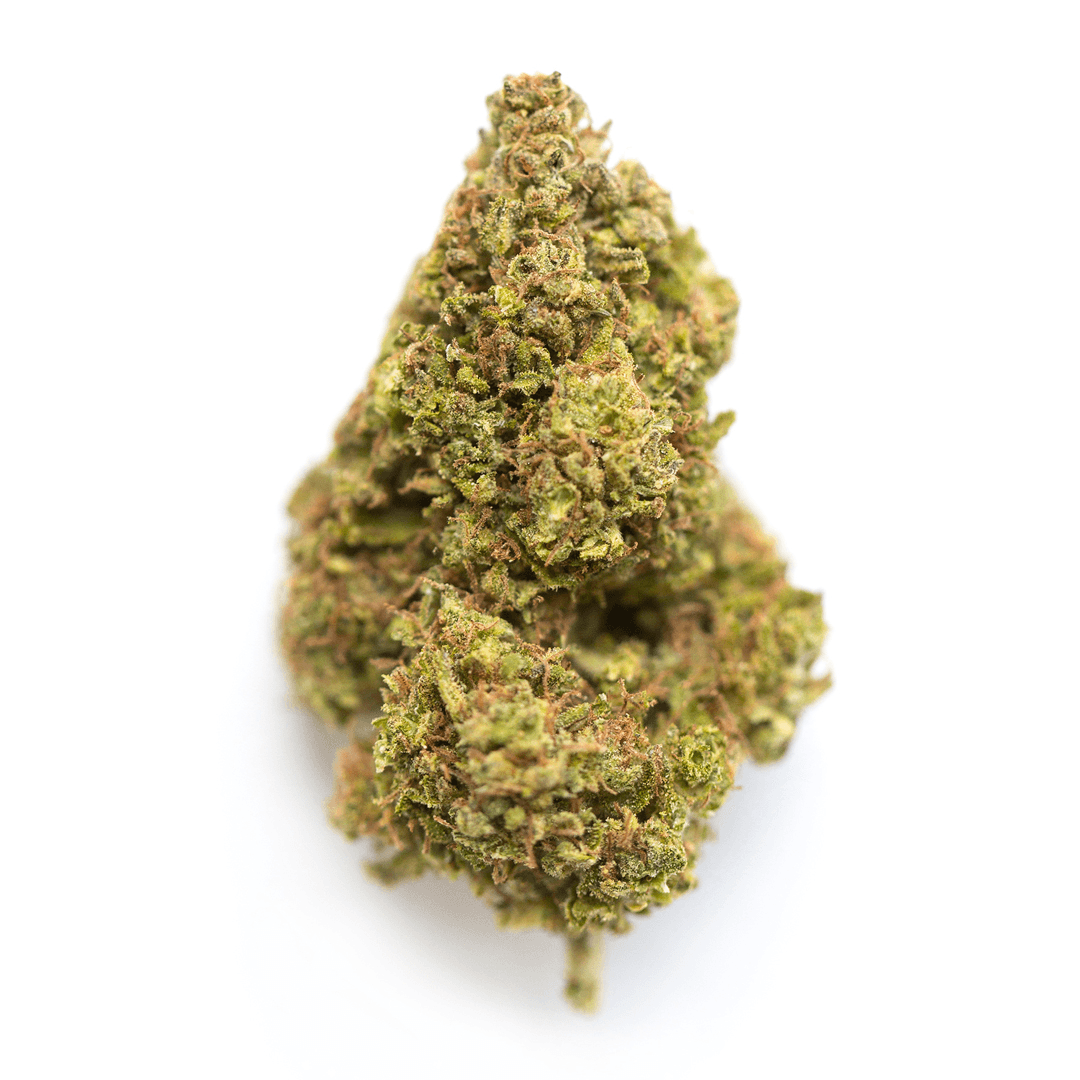 Z Glue