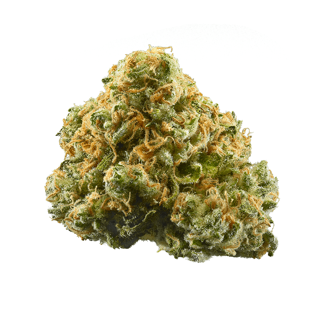 Zour Apples