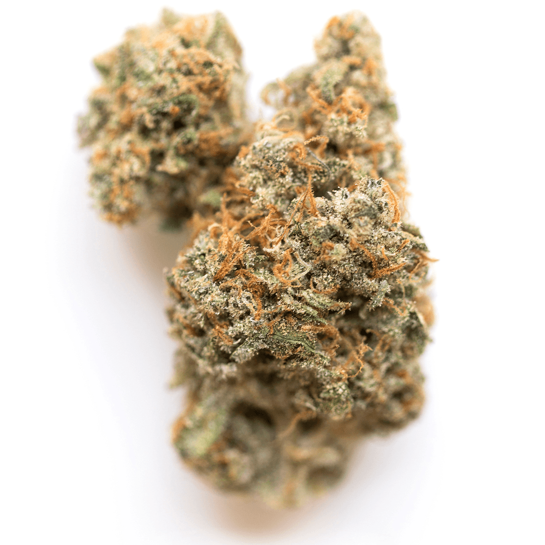 541 Kush
