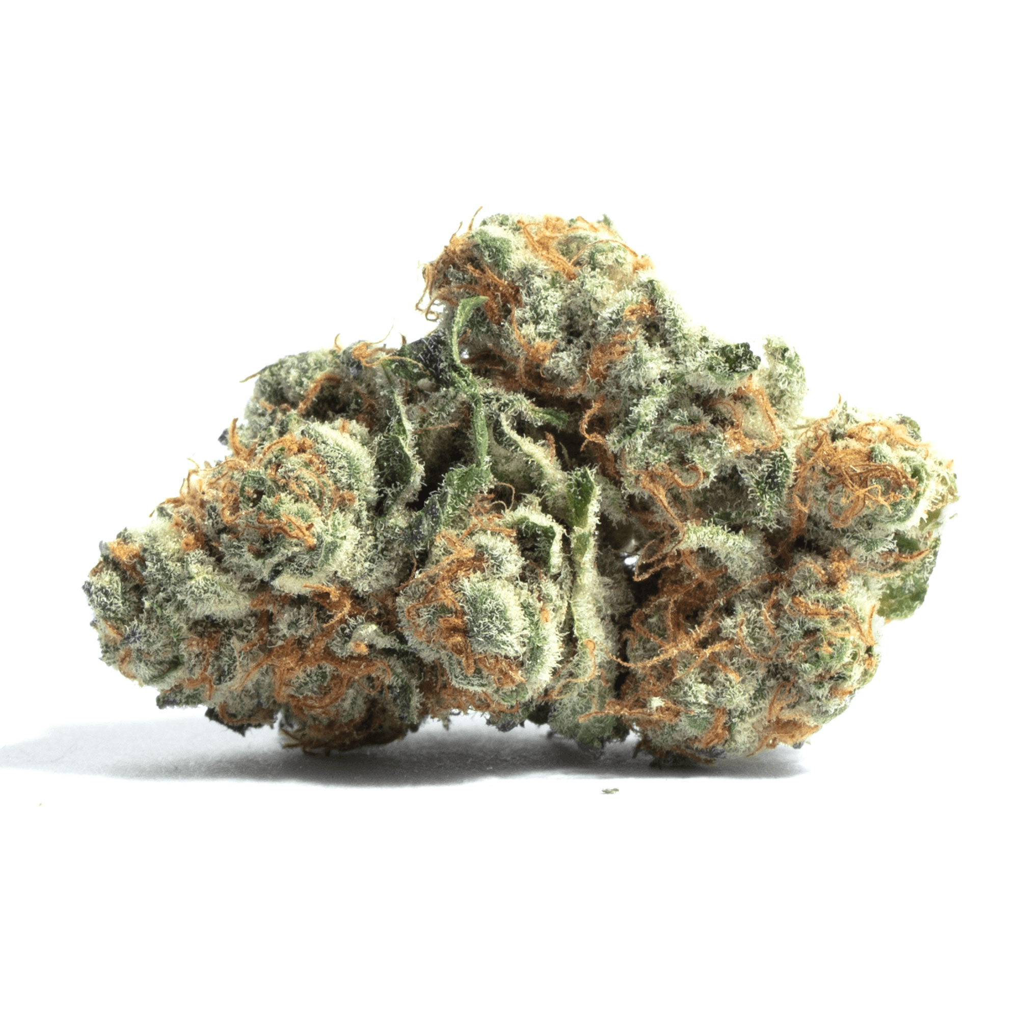 Amnesia Ganja Haze