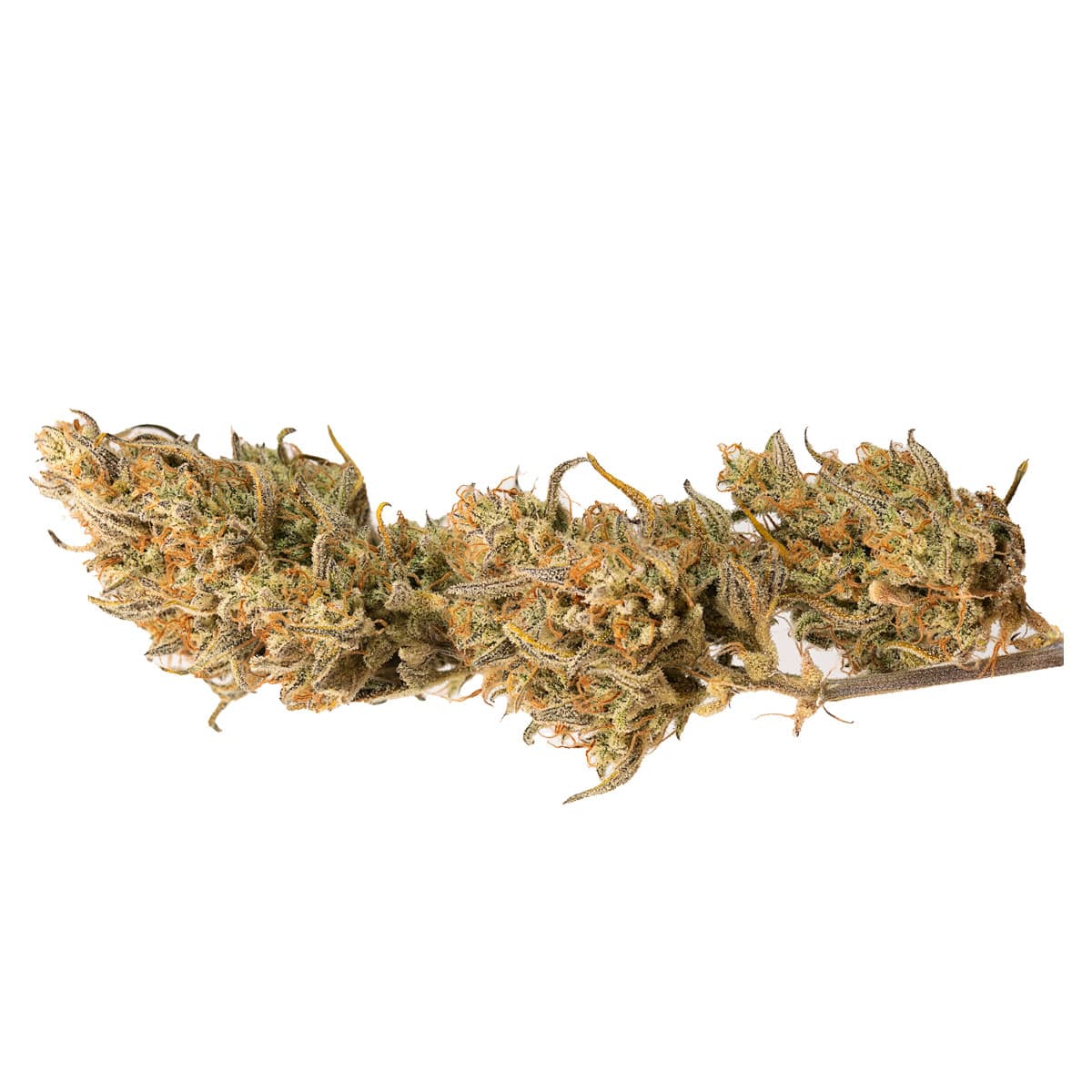 Crystal Candy XL Auto