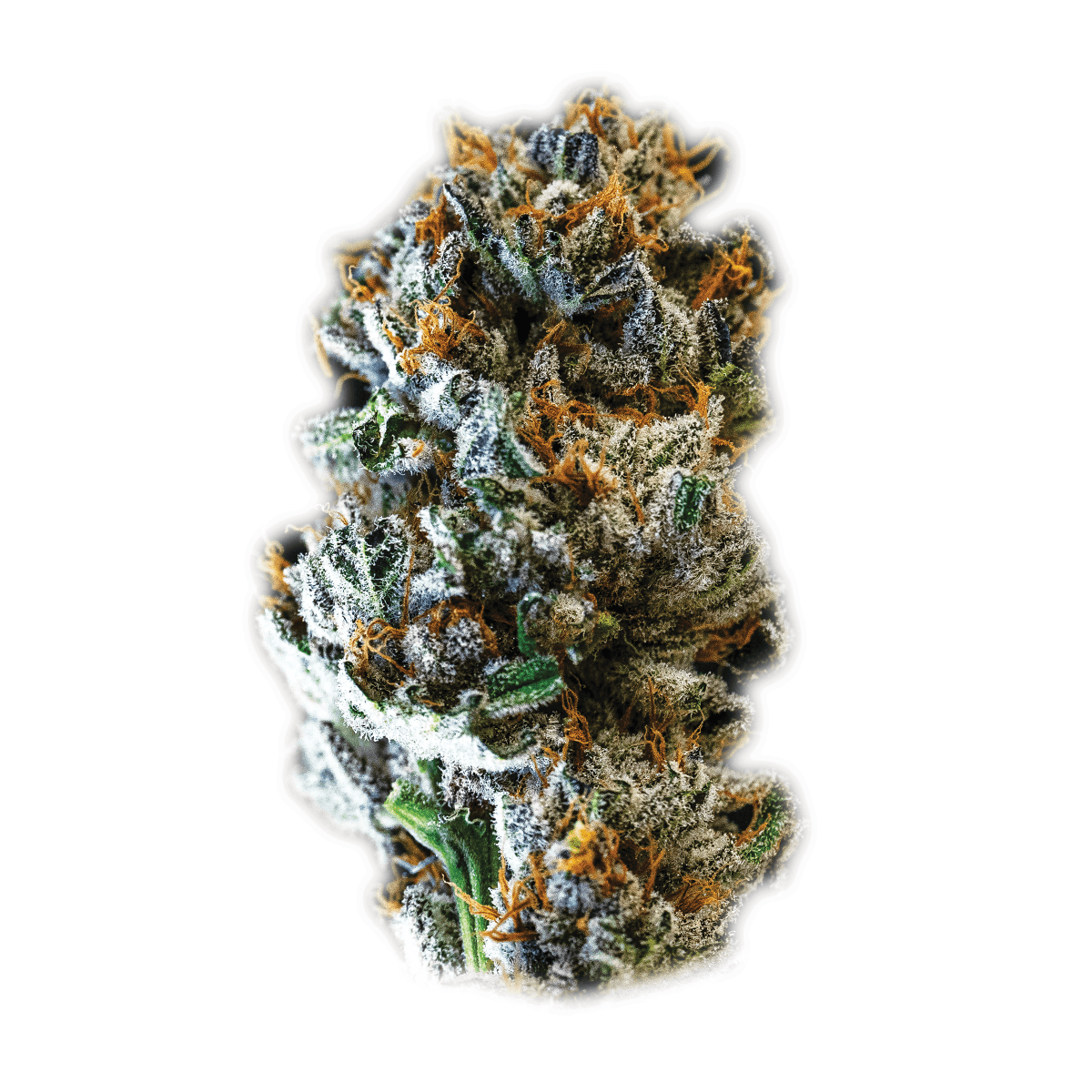 Eternal Death Slayer 3