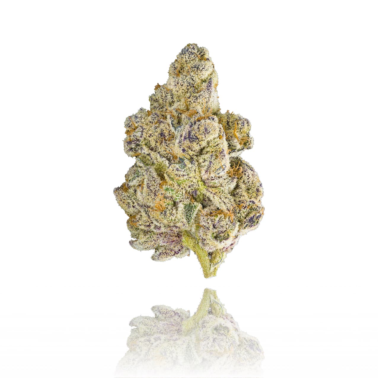 Honey Lemon Hibiscus