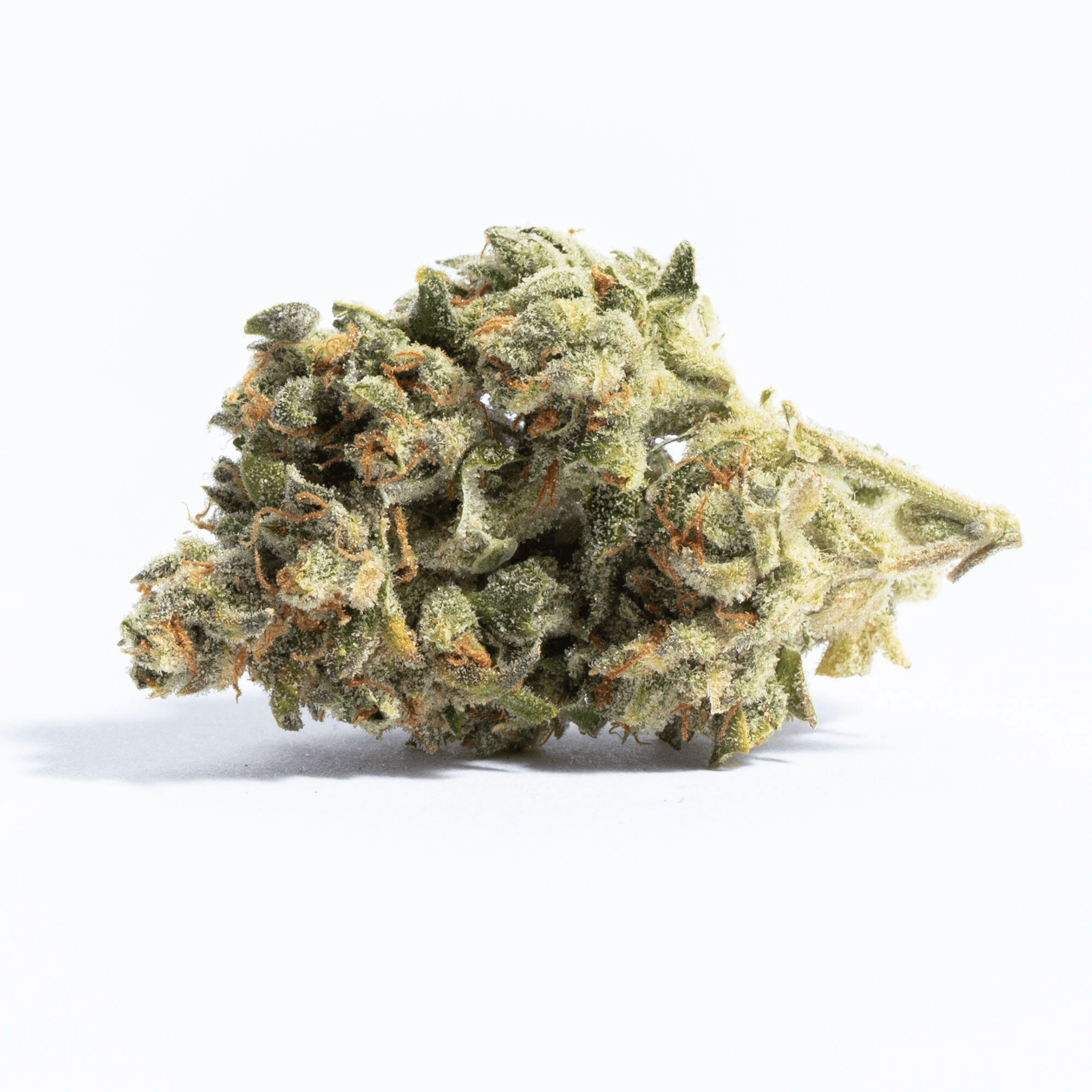 Mother’s Finest