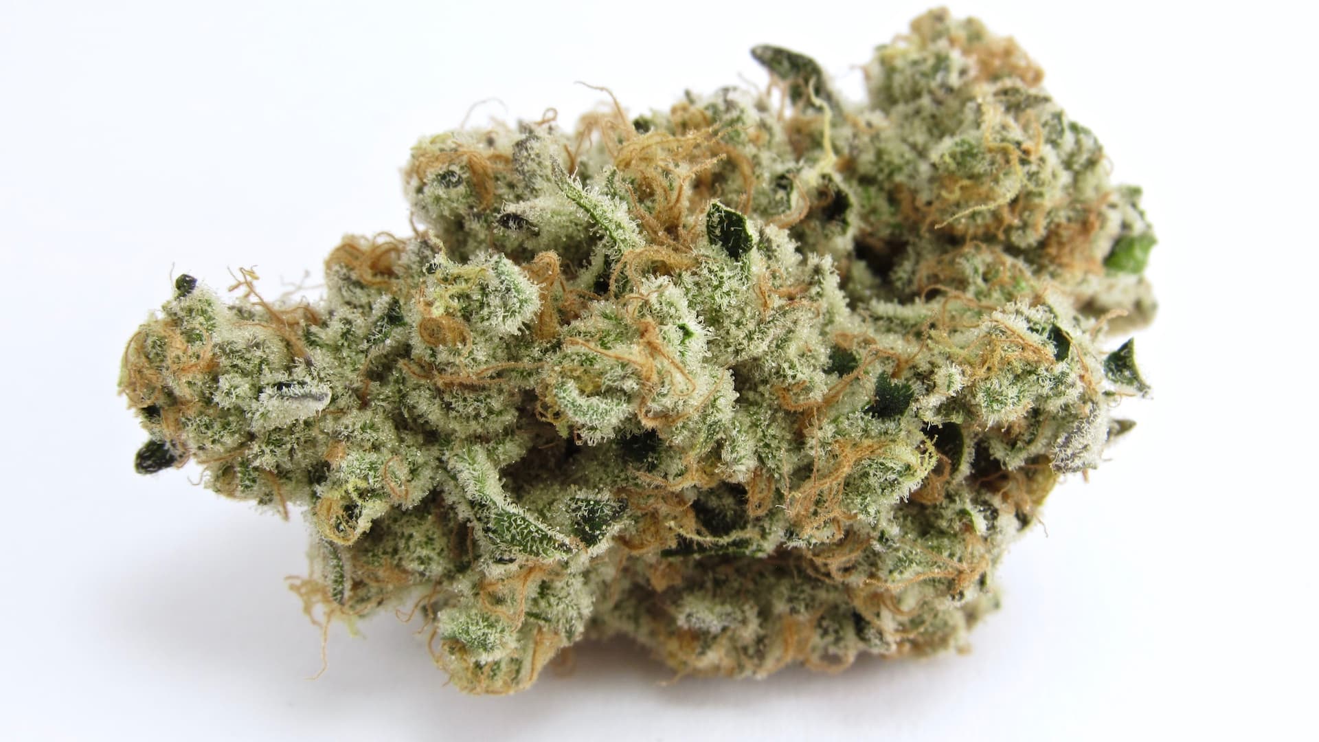 Platinum Kush Breath