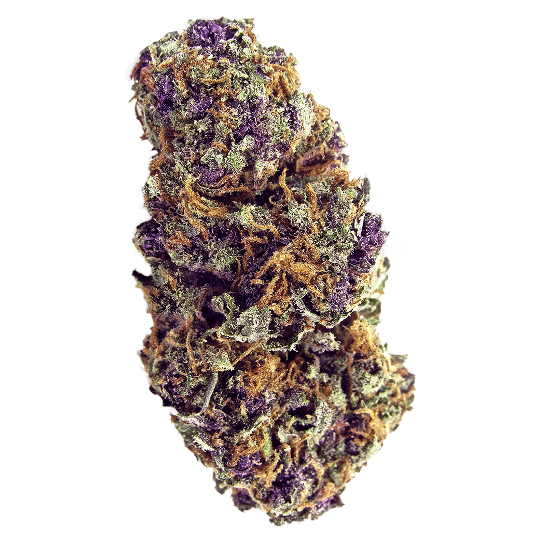 Purple Palm Tree Delight