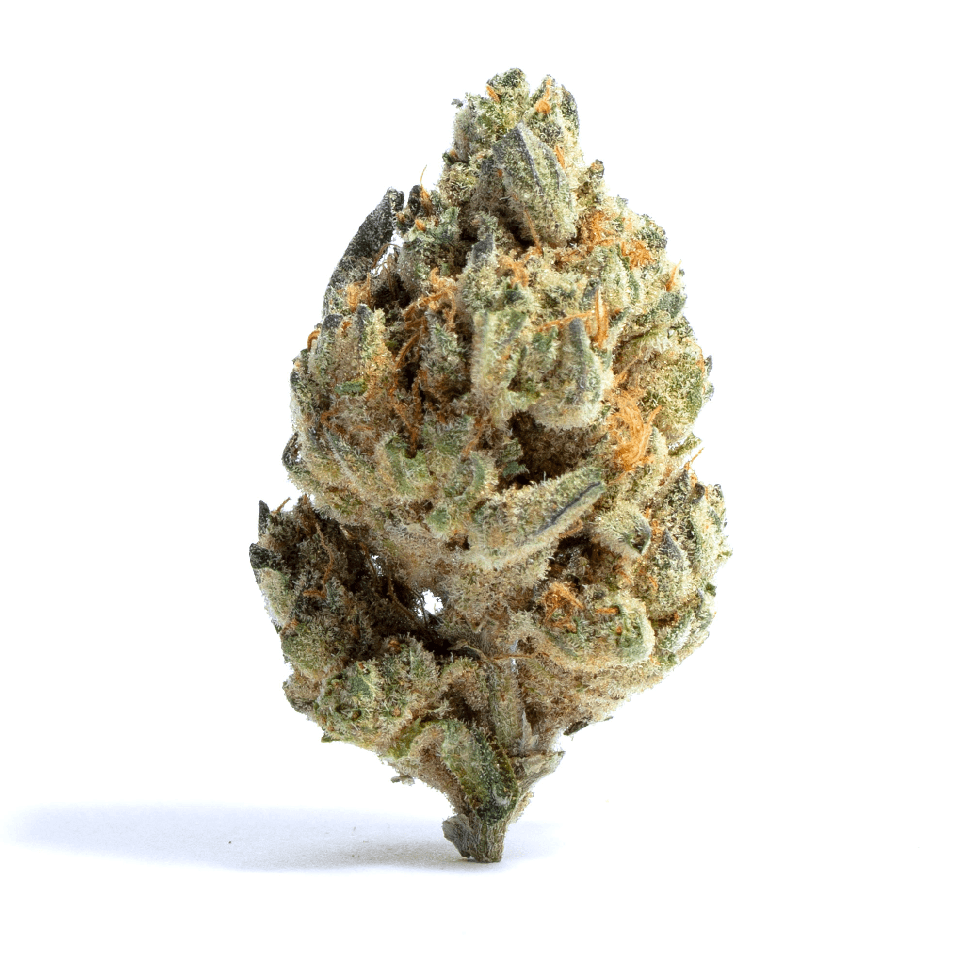 Tropicana Haze