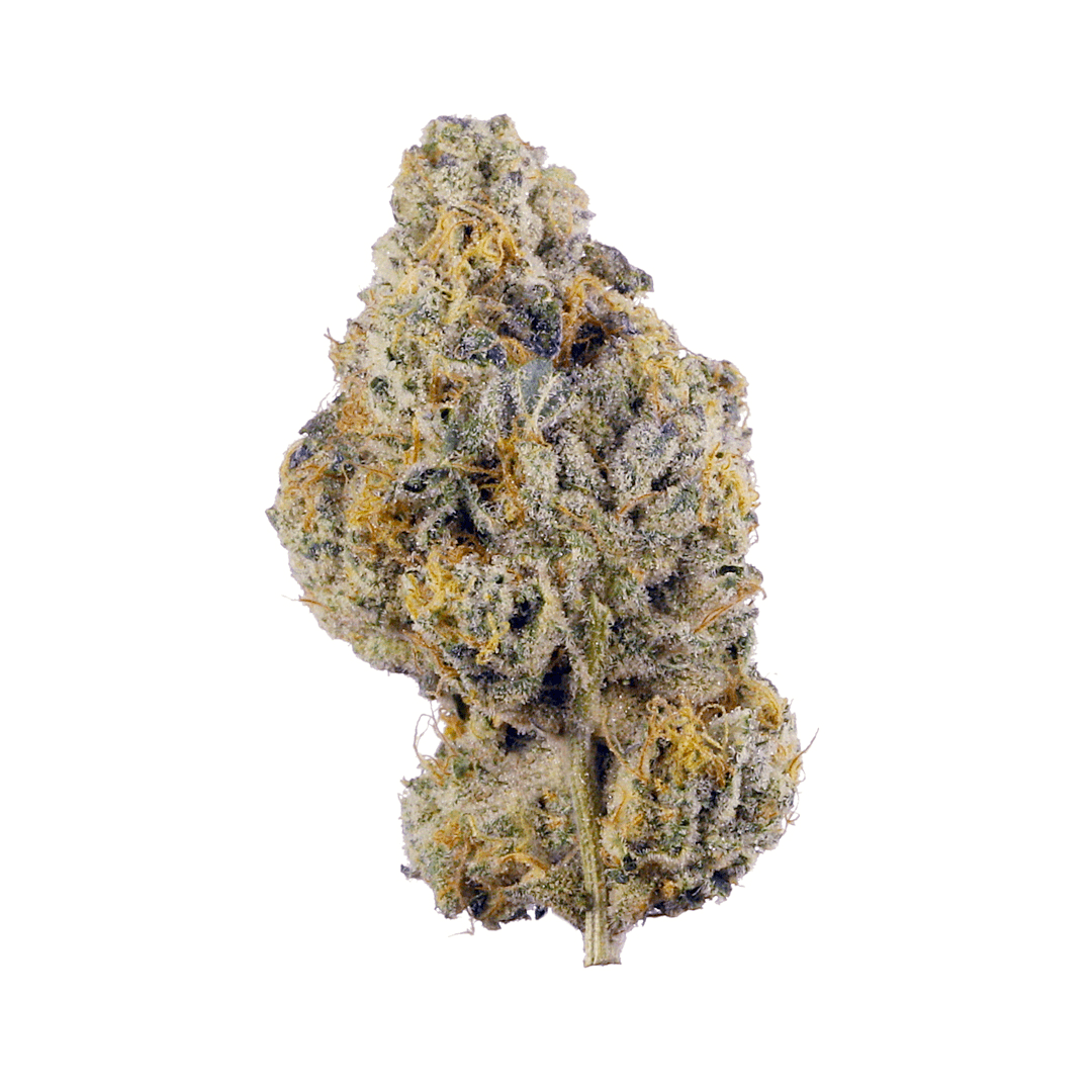 White Skunk