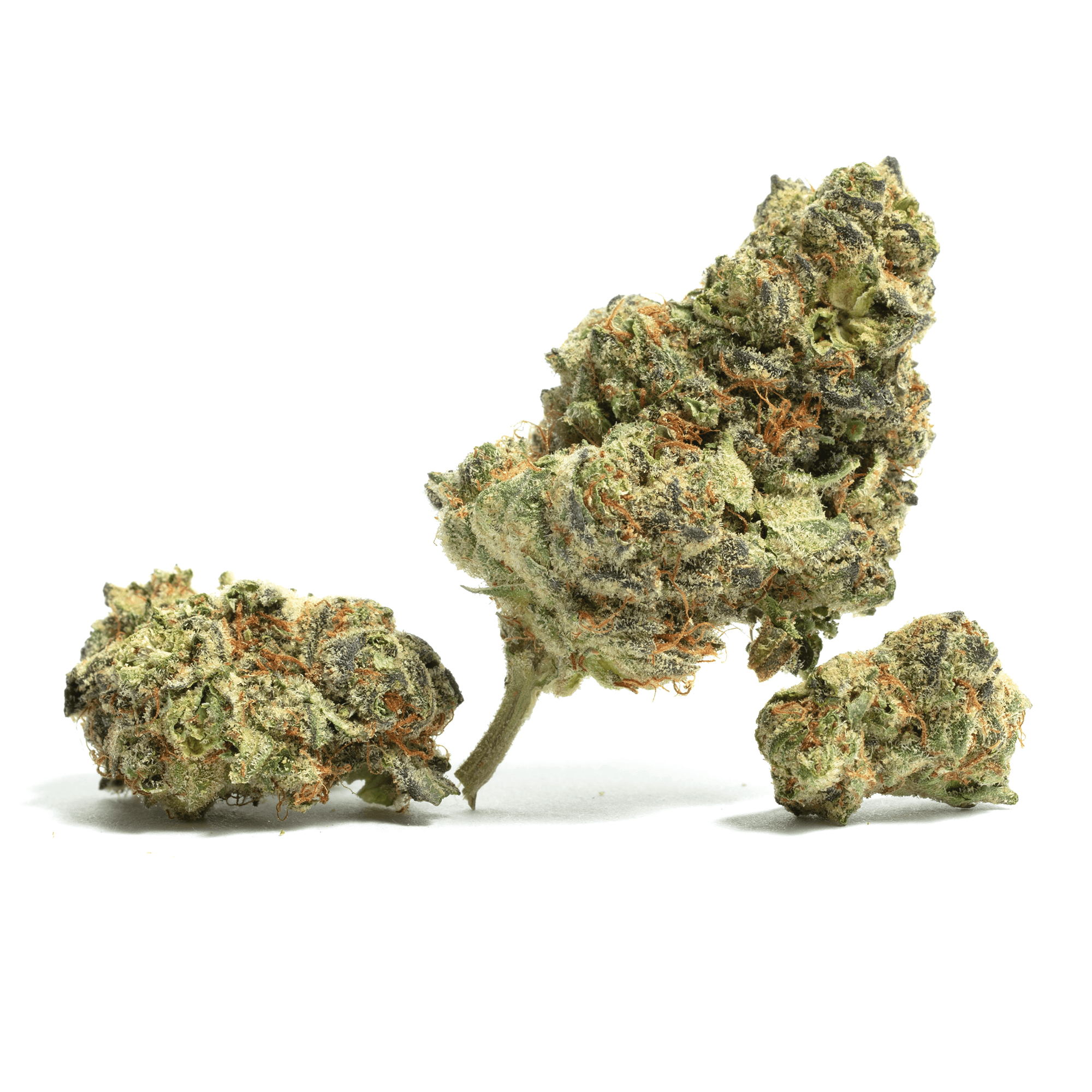 Zatix Blue Guava