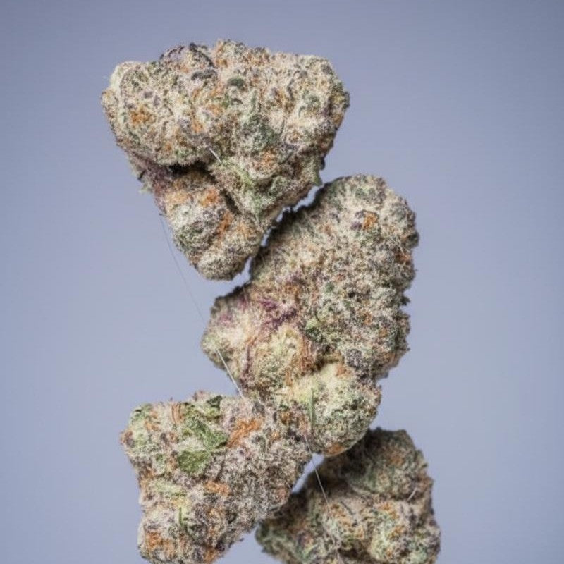 Grape Bubblegum